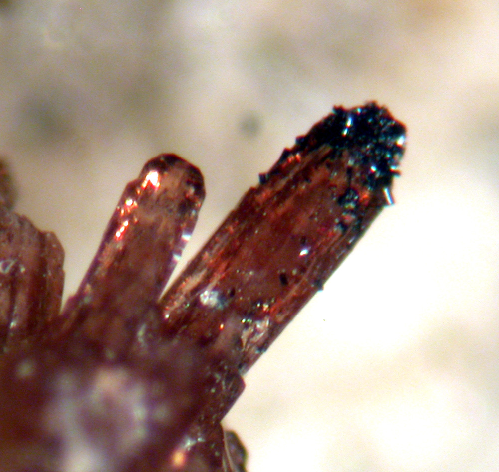 Whiteite-(CaMnMg)