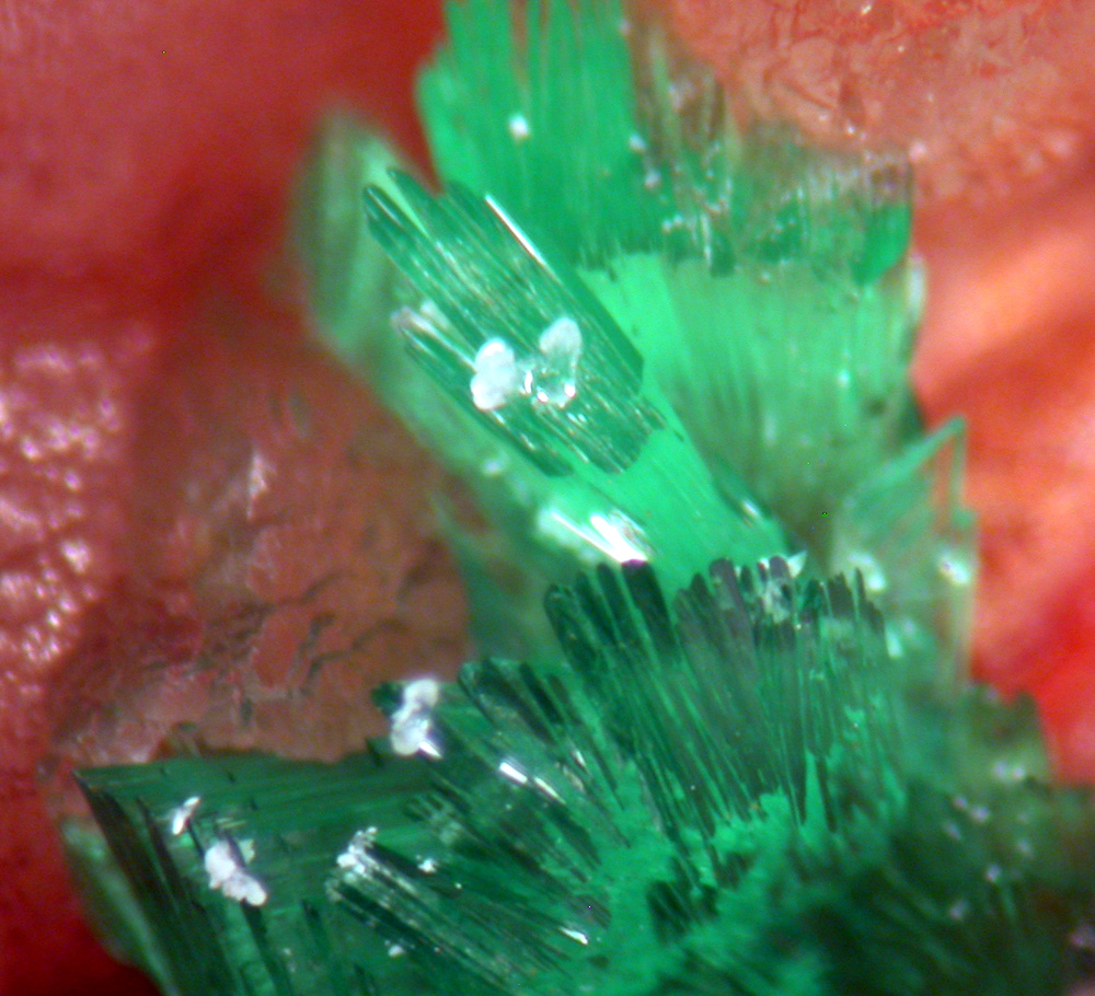 Annabergite
