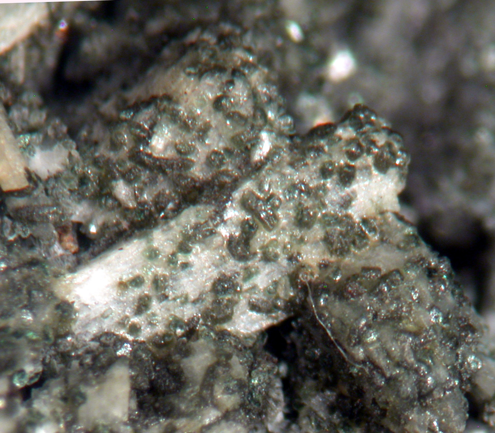 Laumontite & Chlorite