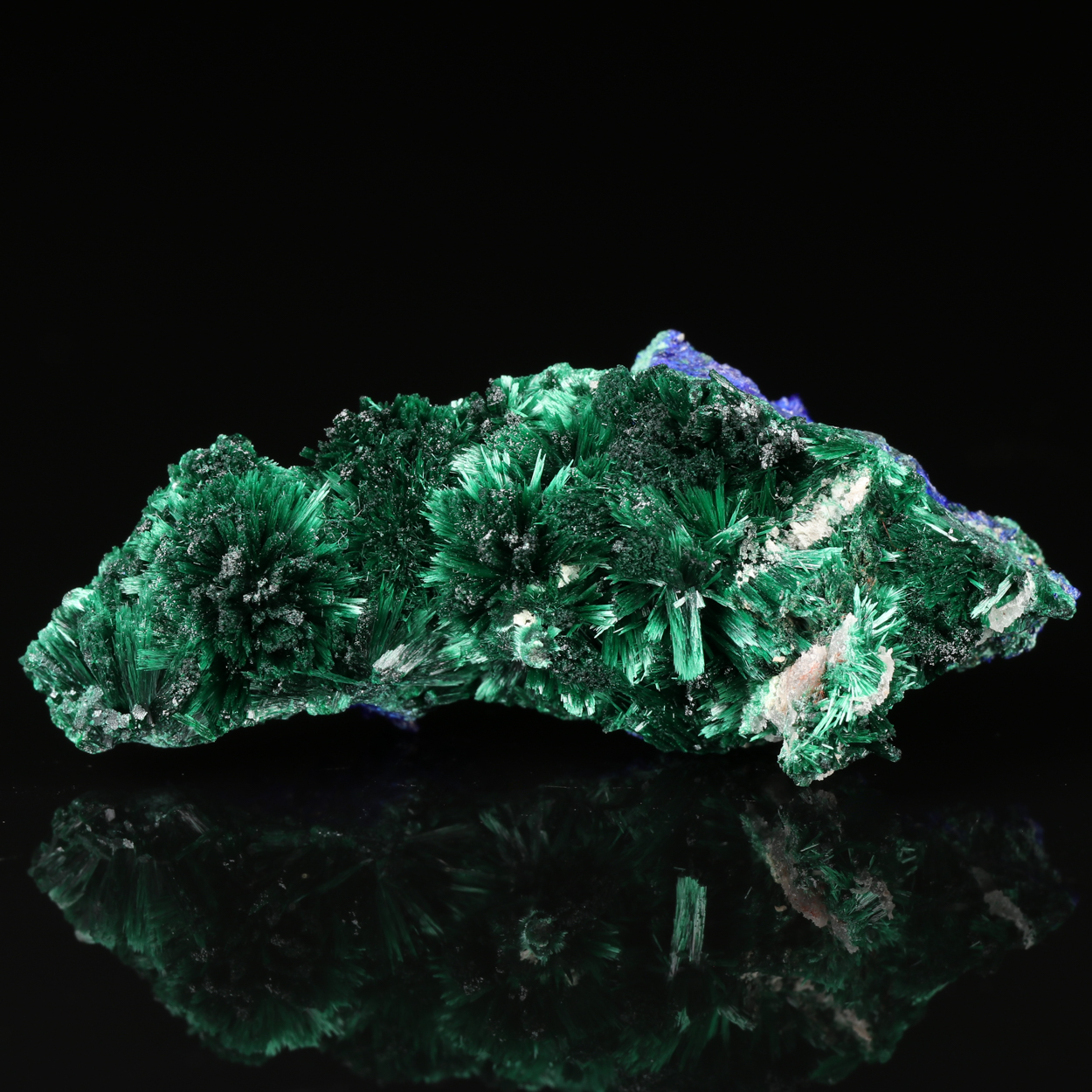 Azurite & Malachite Psm Azurite