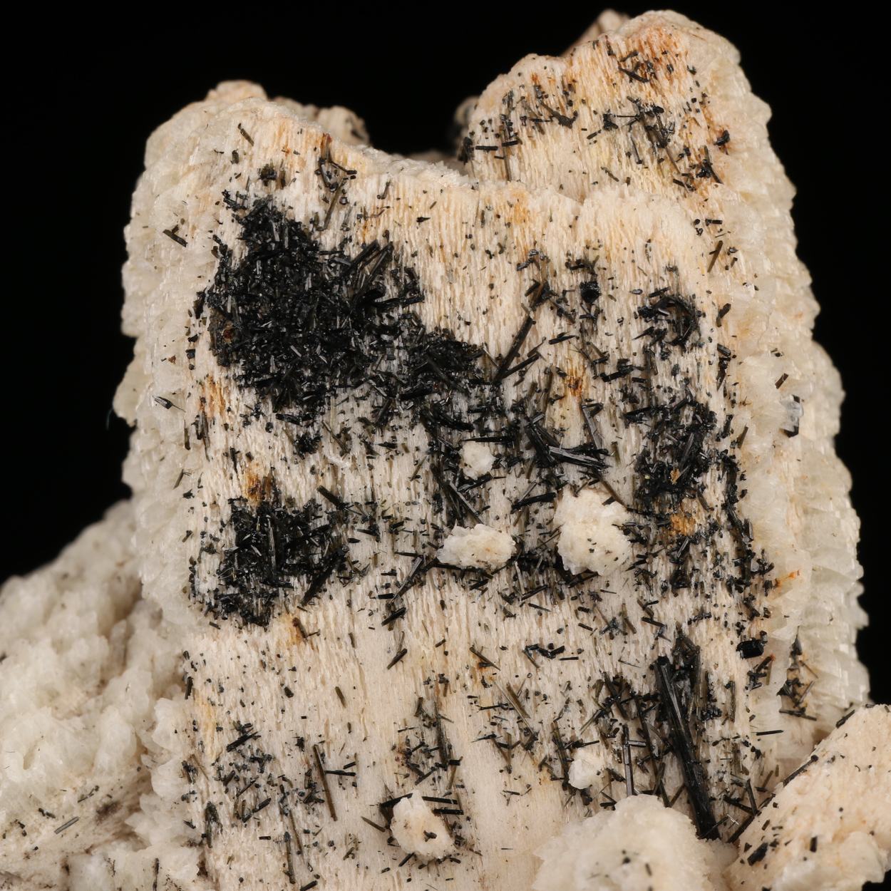 Schorl On Orthoclase Var Carlsbad Twin