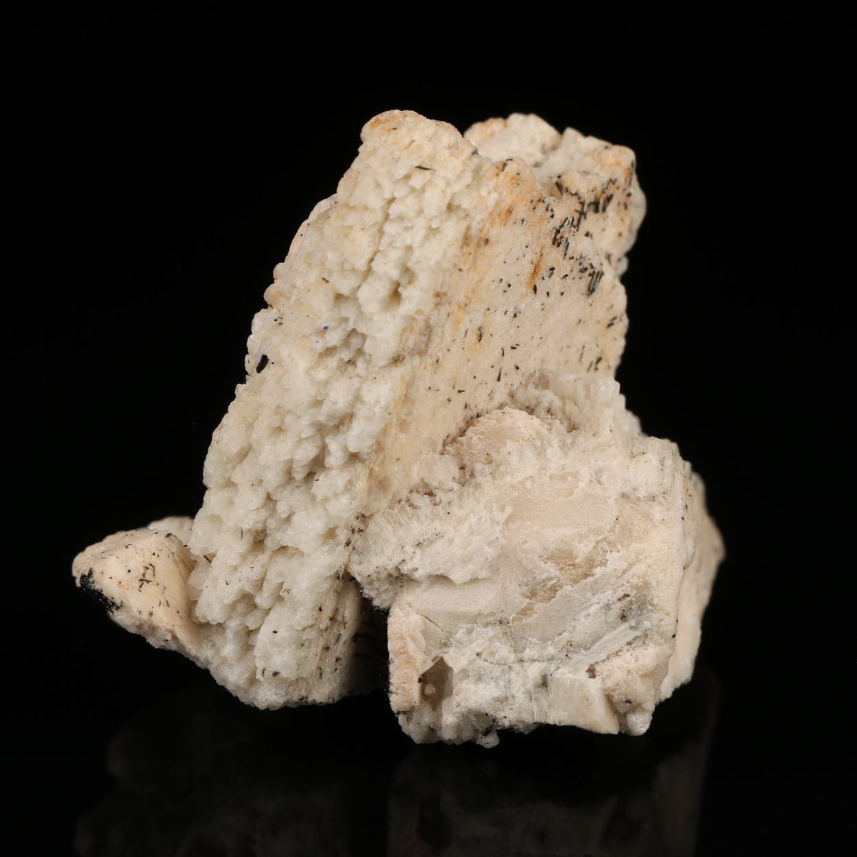 Schorl On Orthoclase Var Carlsbad Twin