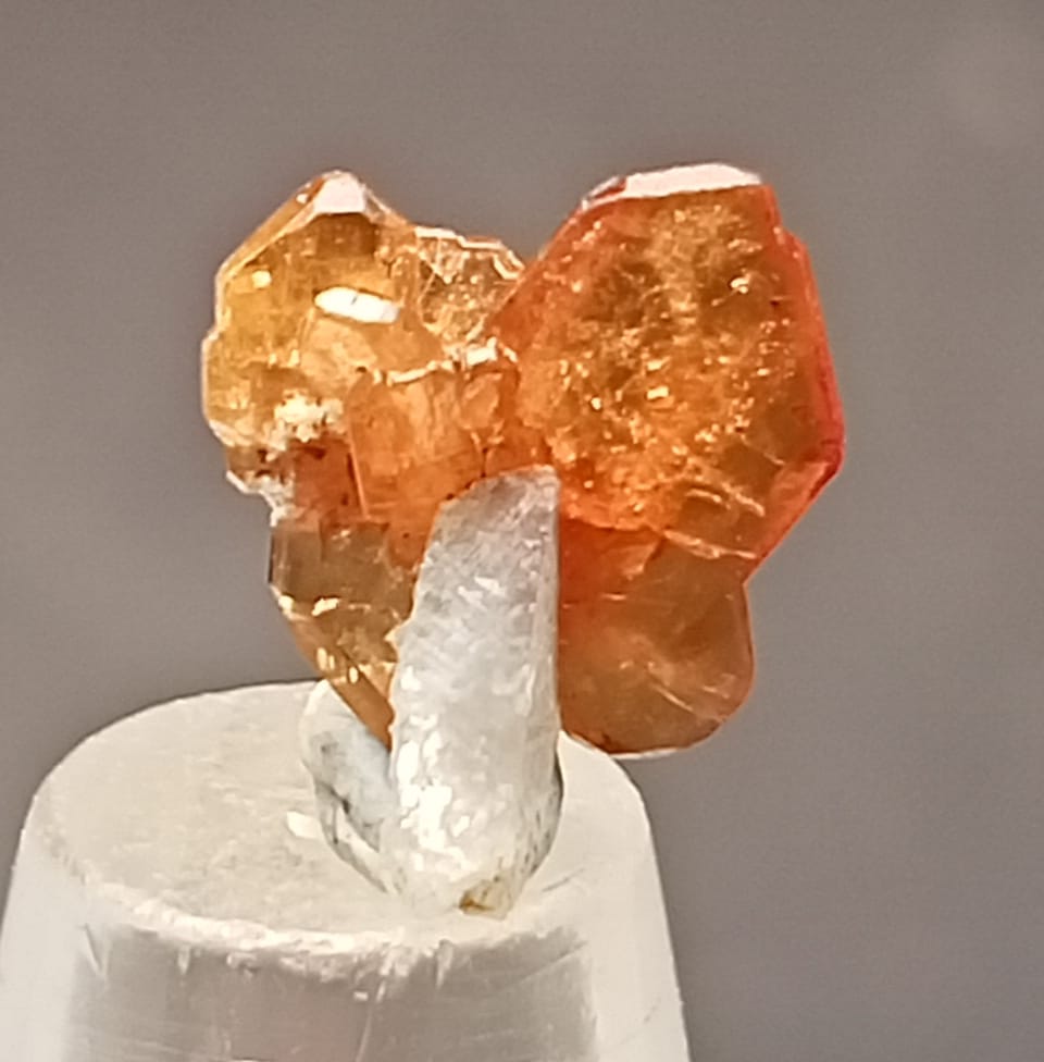 Monazite-(Ce) With Albite