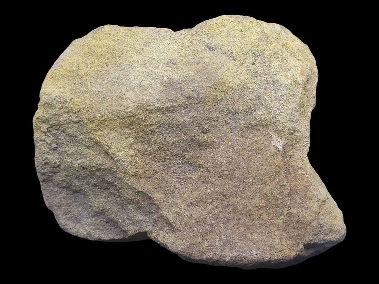 Schoepite With Uraninite & Gummite