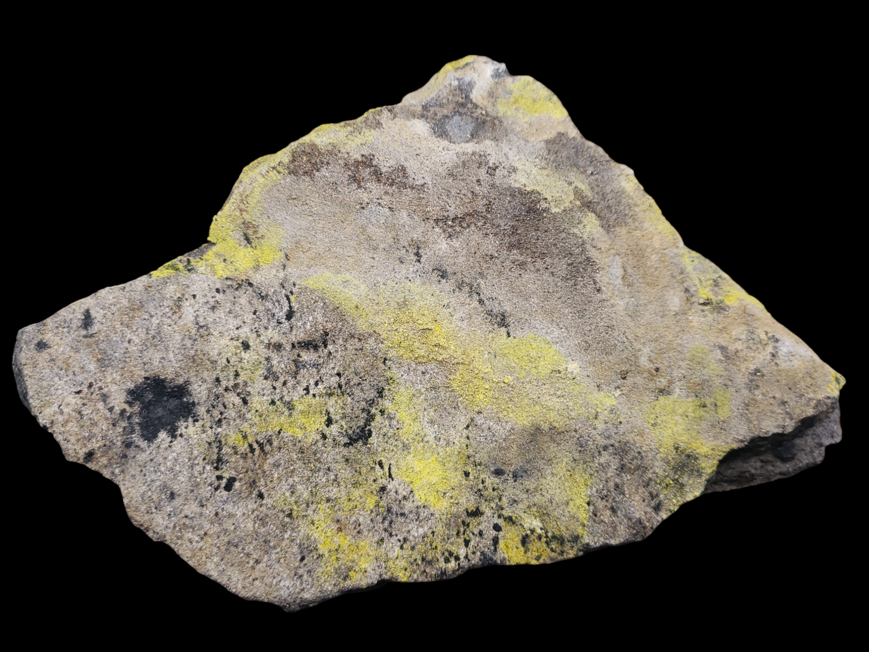 Uraninite With Schoepite