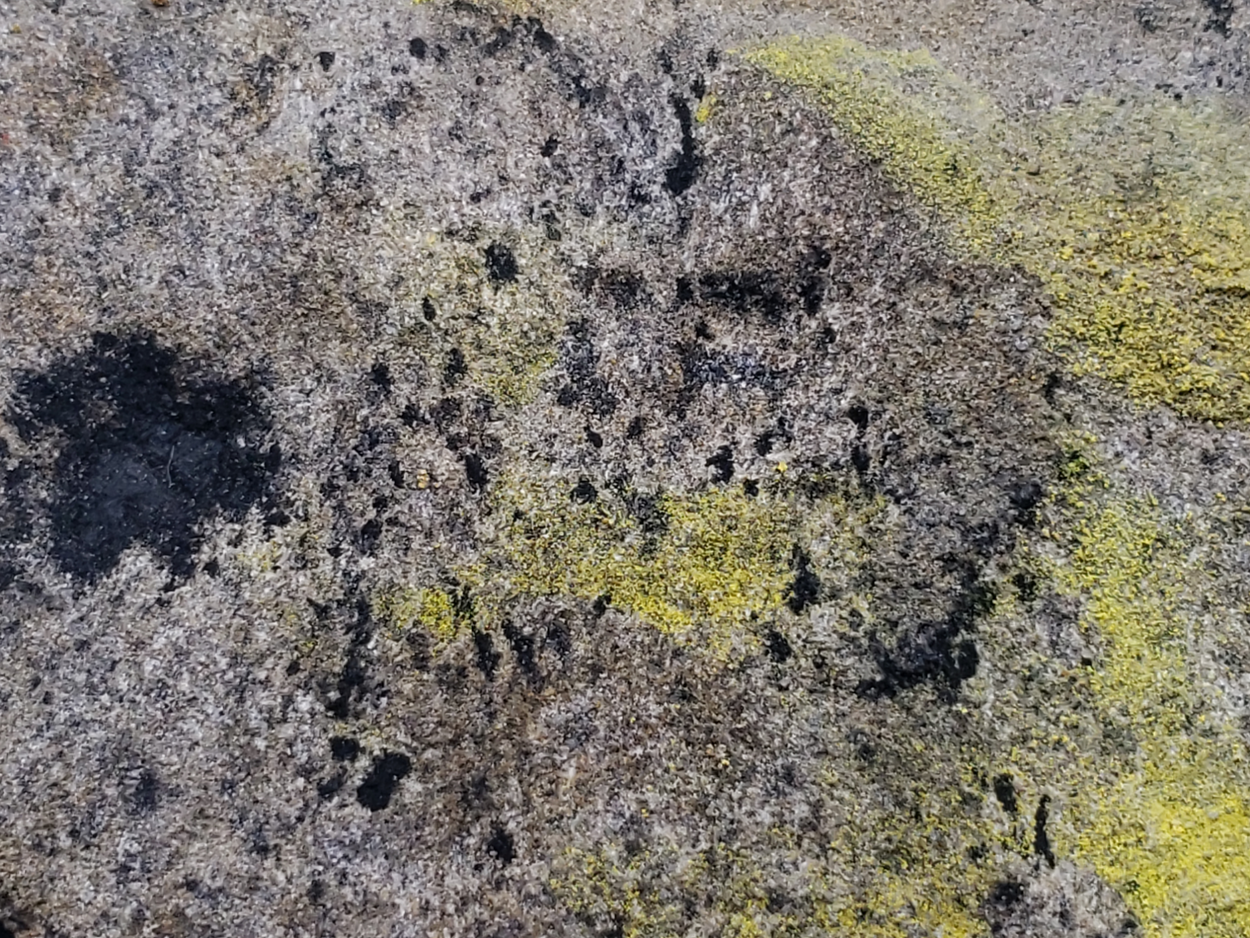 Uraninite With Schoepite