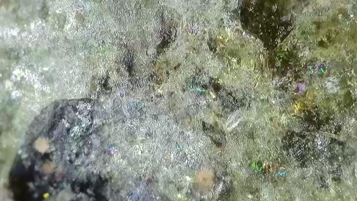 Trinitite