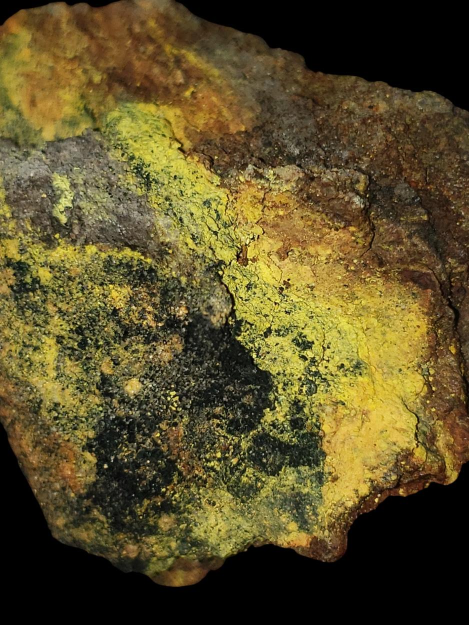 Coffinite