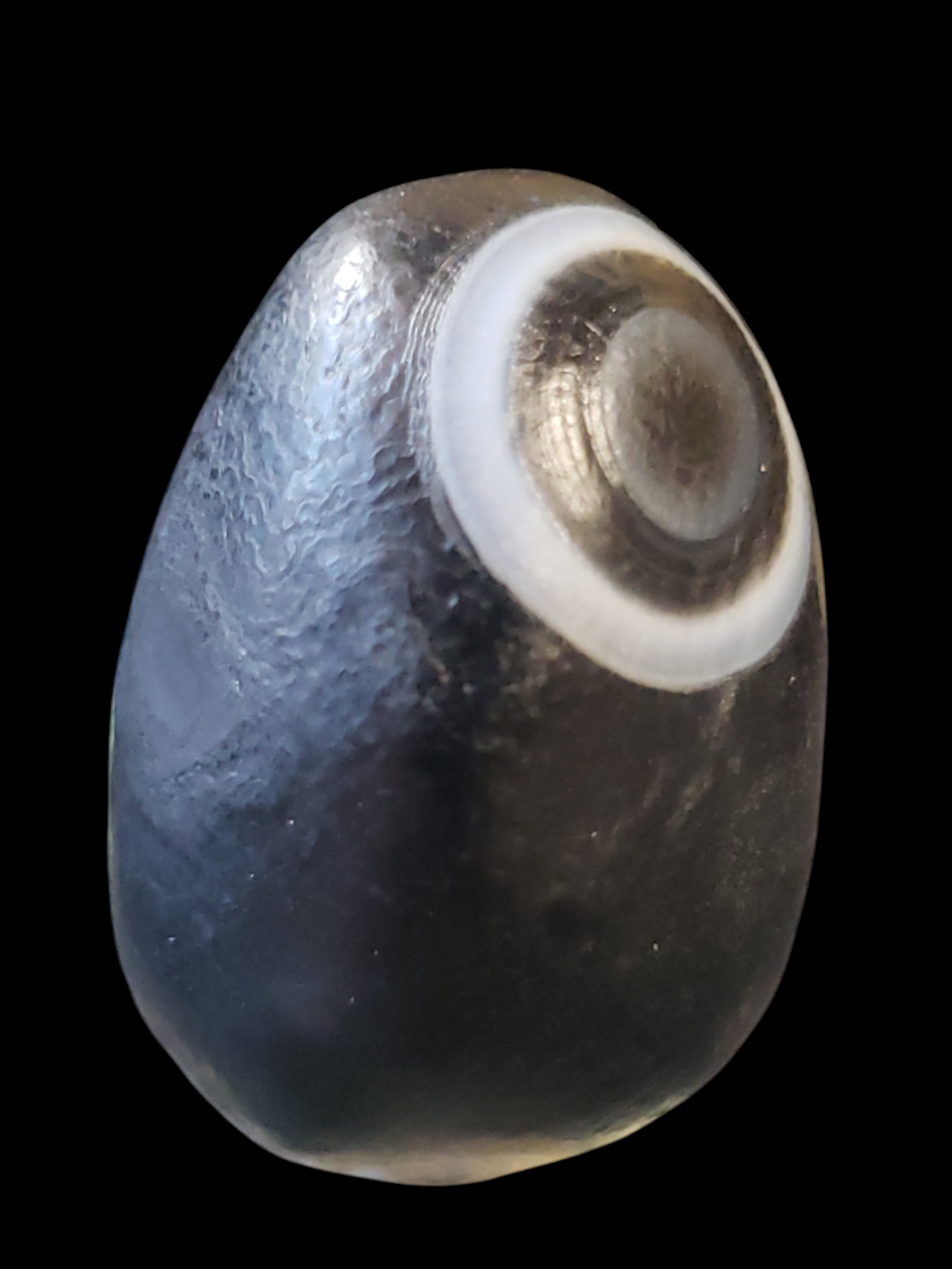 Eye Agate