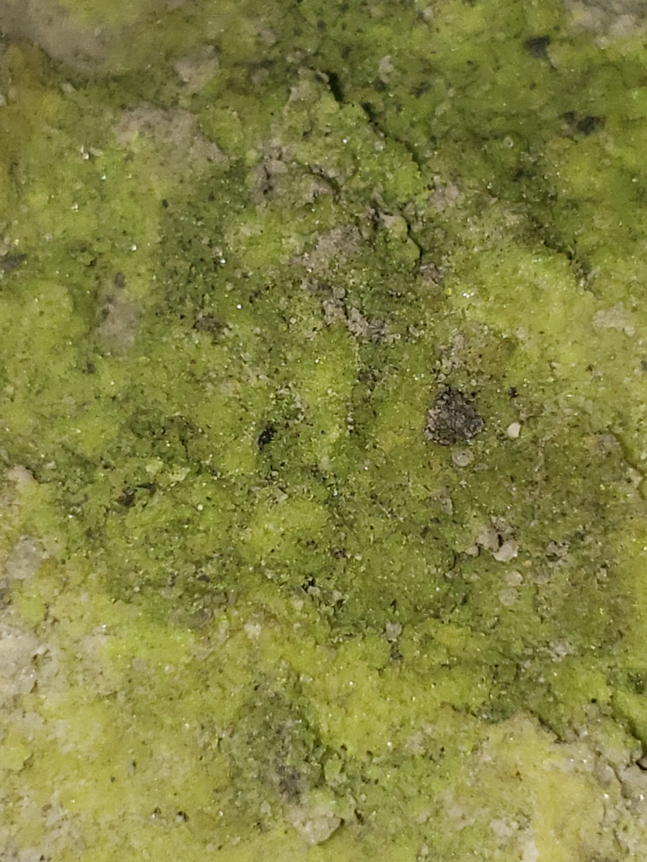 Andersonite