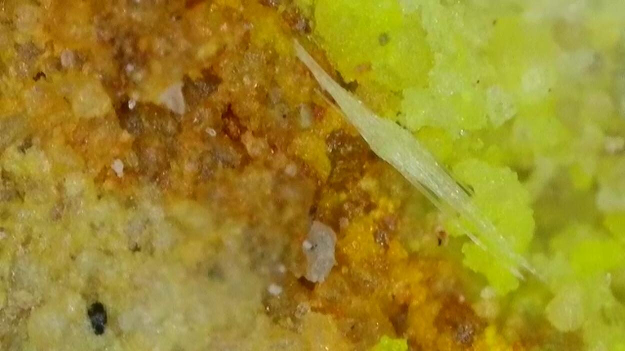 Andersonite