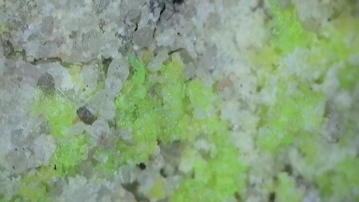 Andersonite