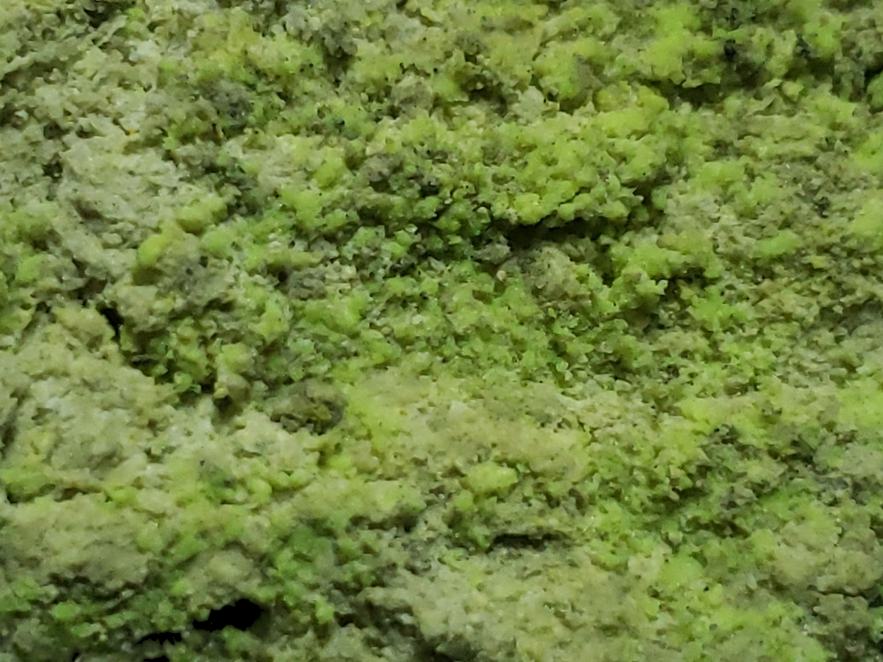Andersonite
