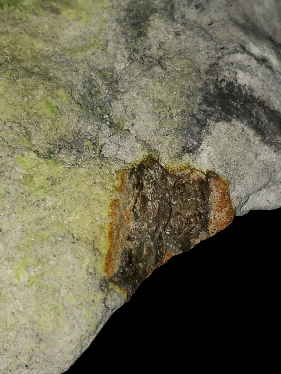 Andersonite