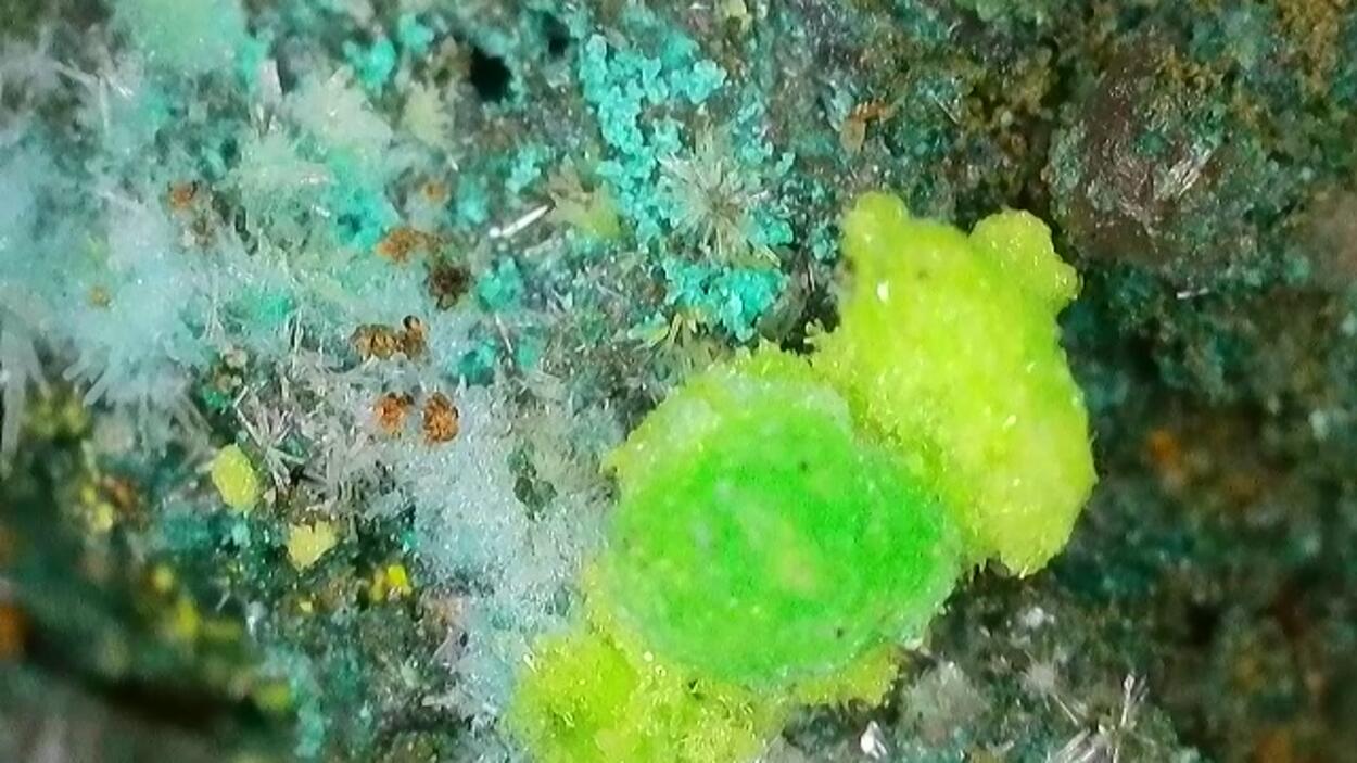 Johannite On Coffinite