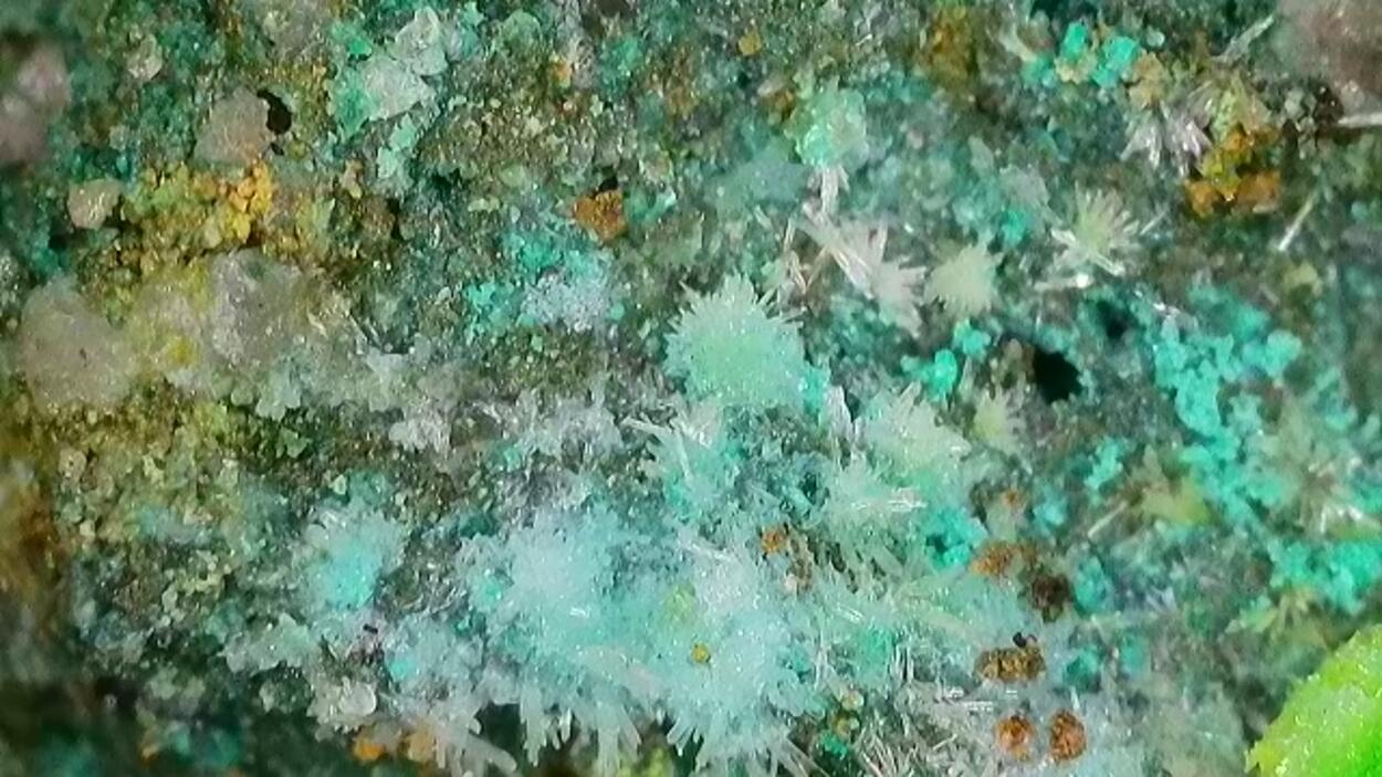 Johannite On Coffinite