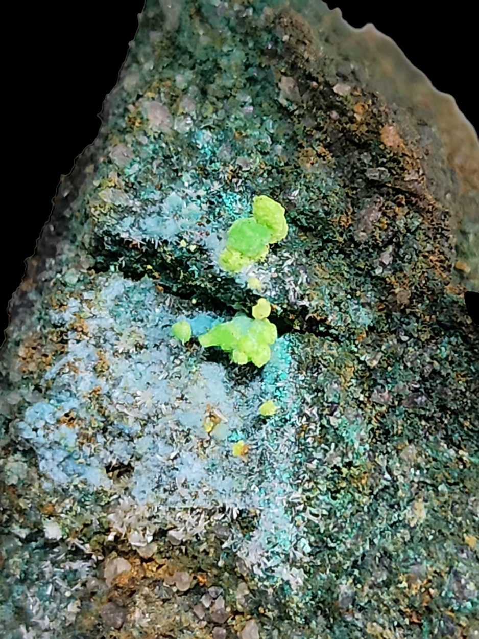 Johannite On Coffinite