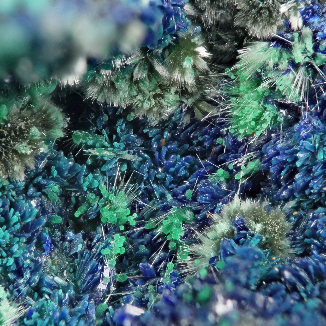 Conichalcite Olivenite & Azurite