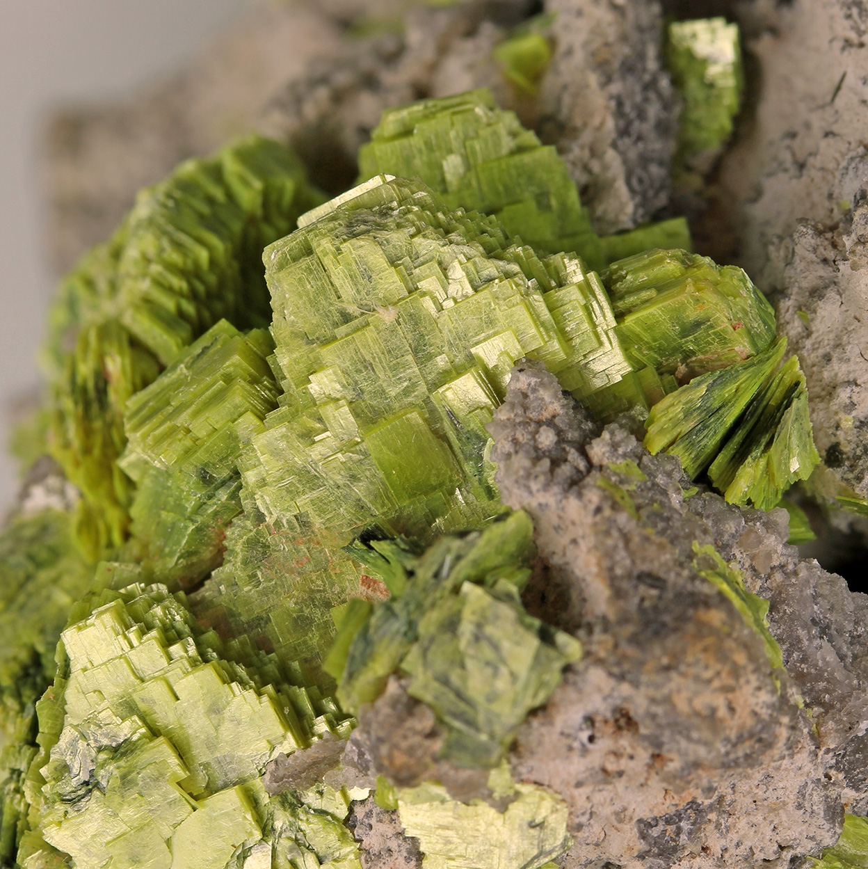 Autunite