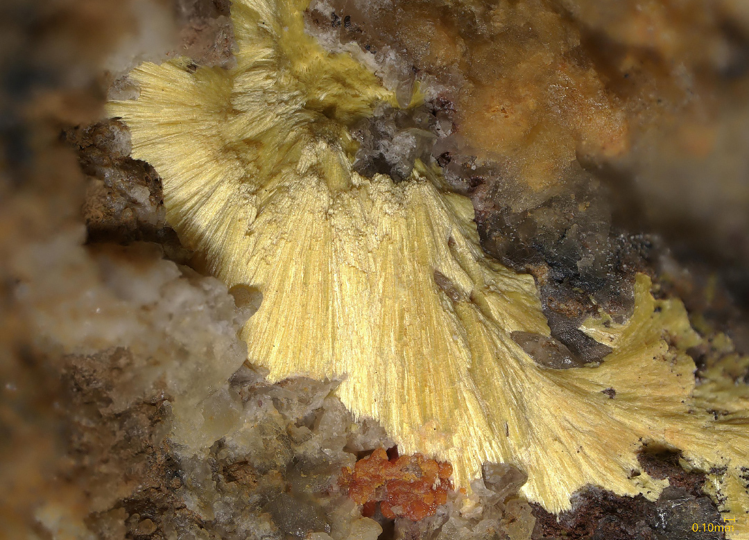 Boltwoodite