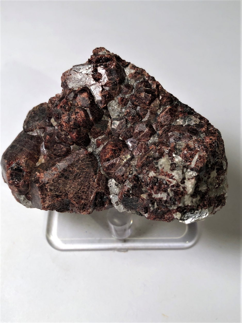 Grossular With Muscovite & Quartz