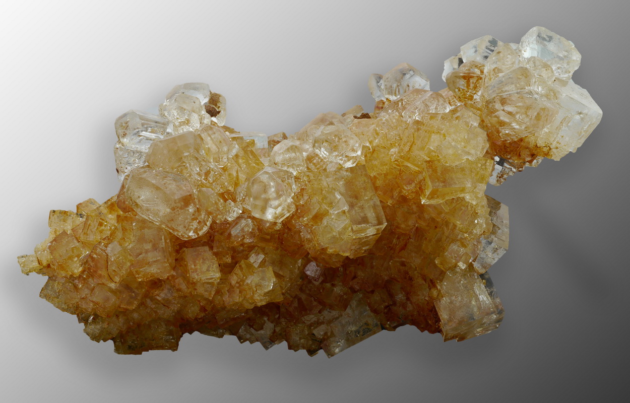 Carnallite On Halite