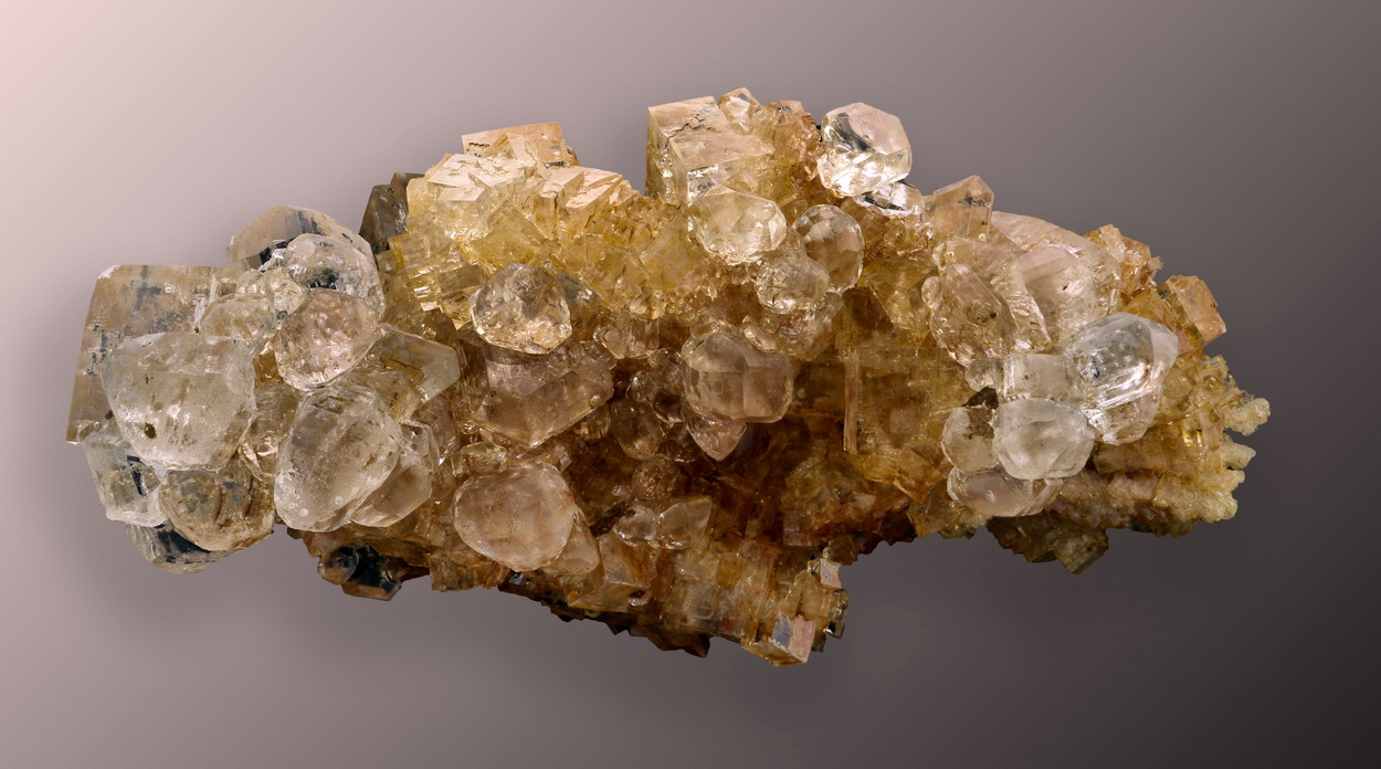 Carnallite On Halite