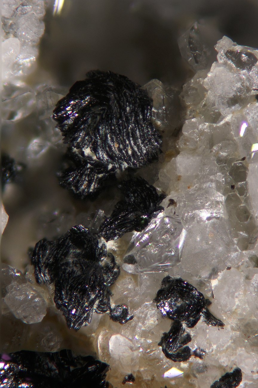 Deveroite-(Ce) & Cervandonite-(Ce)