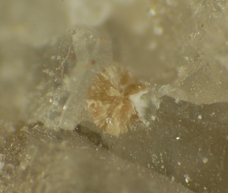 Sphaerobertrandite & Eudidymite