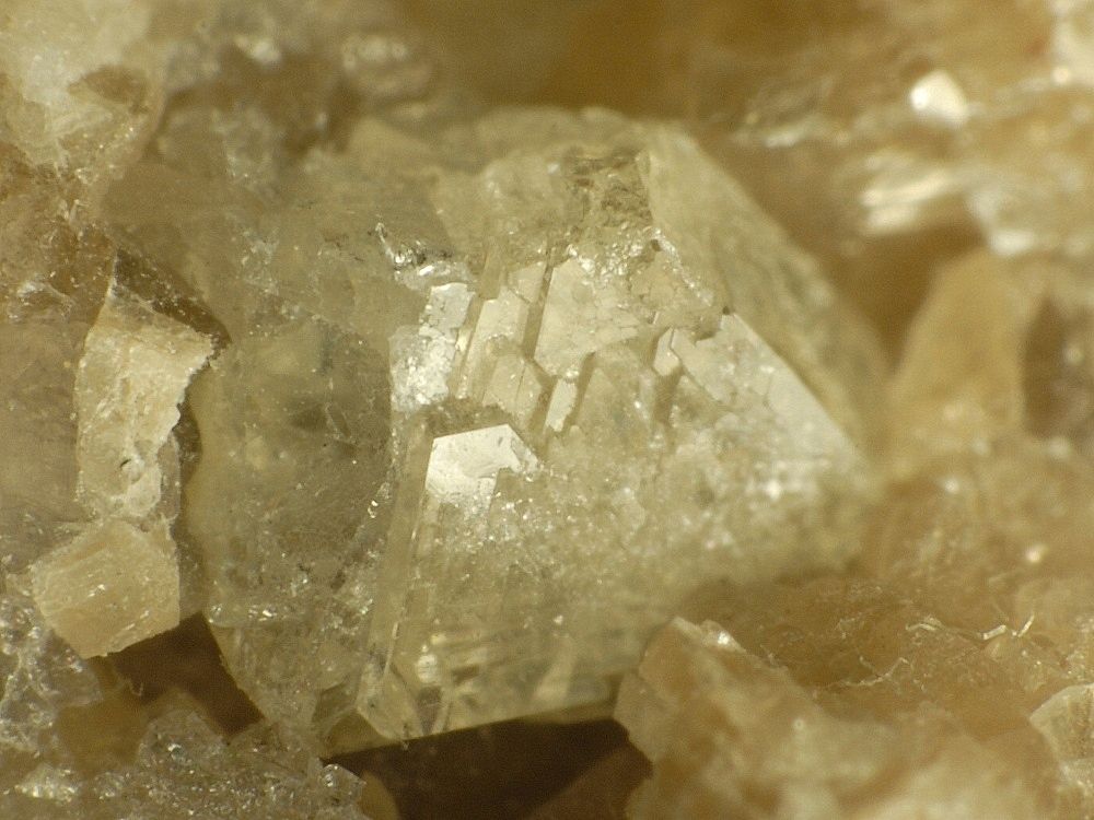 Whitlockite