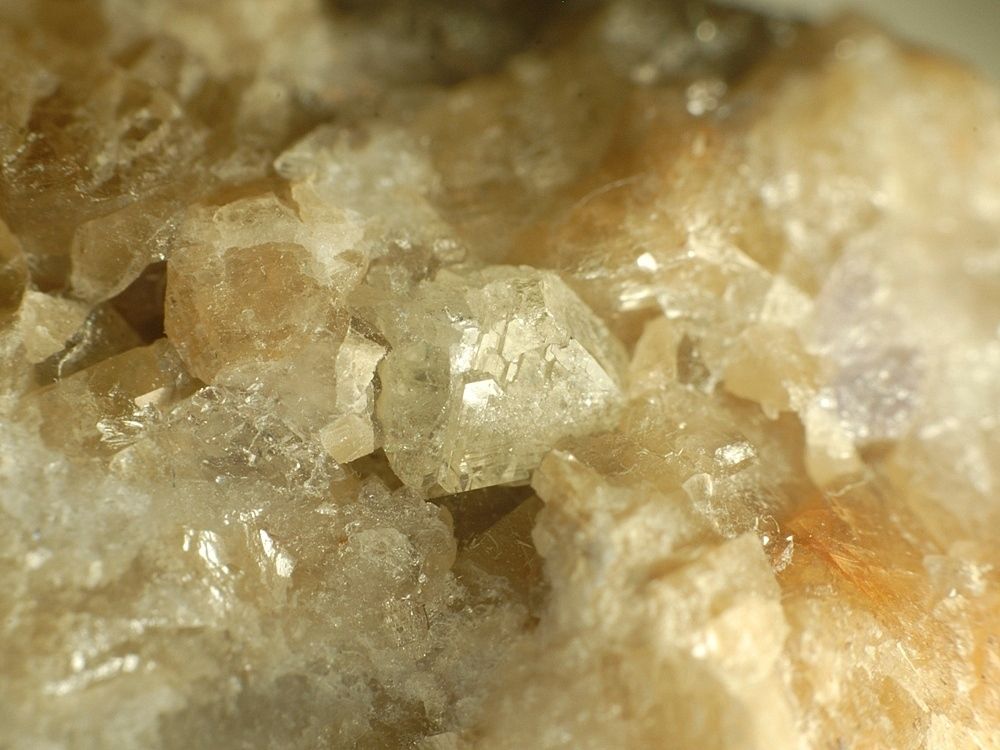 Whitlockite