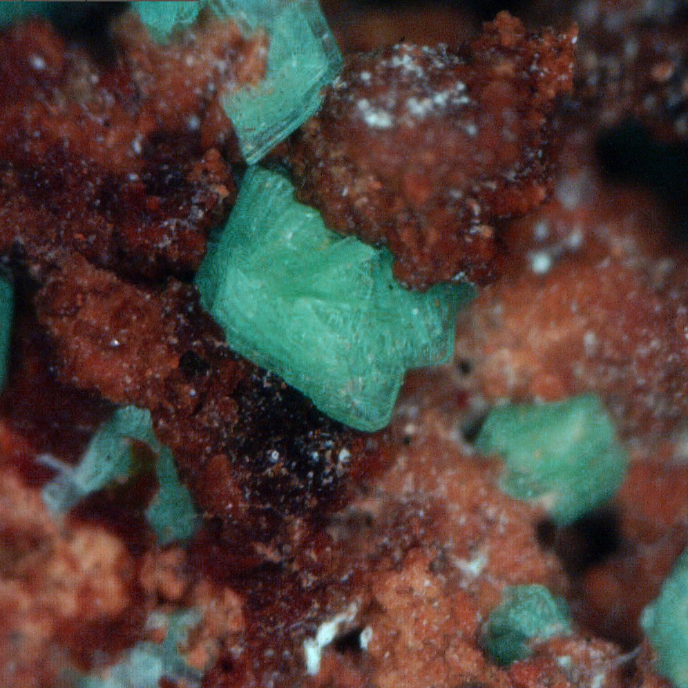Torbernite