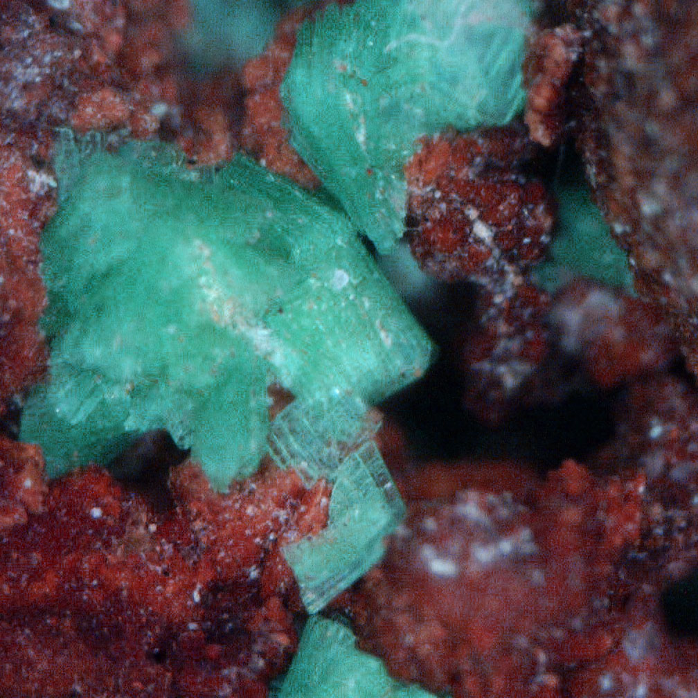Torbernite