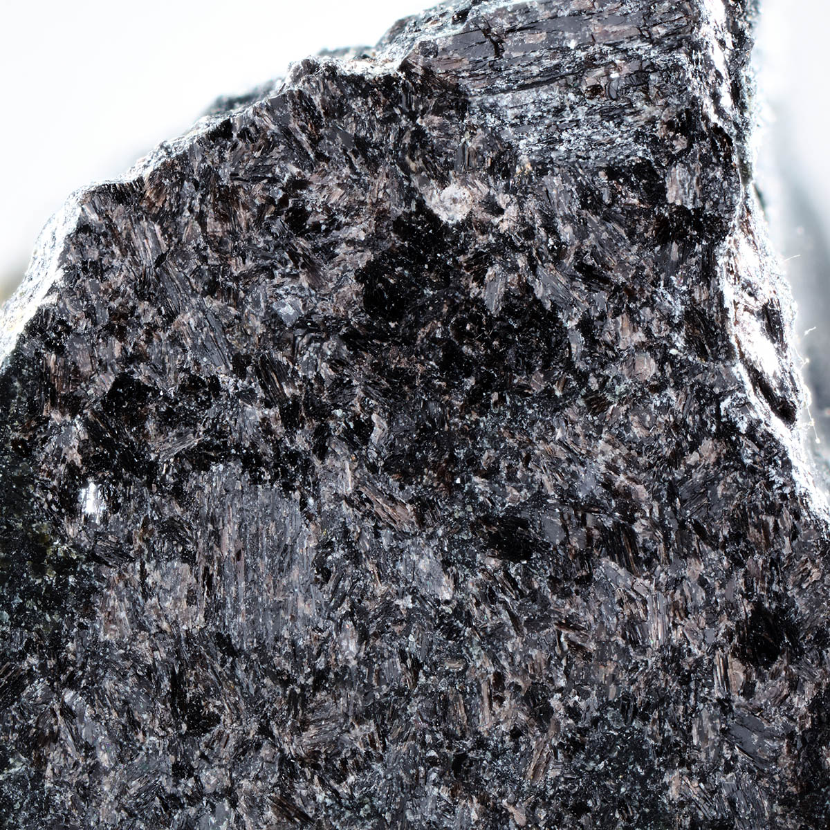 Magnesio-hastingsite