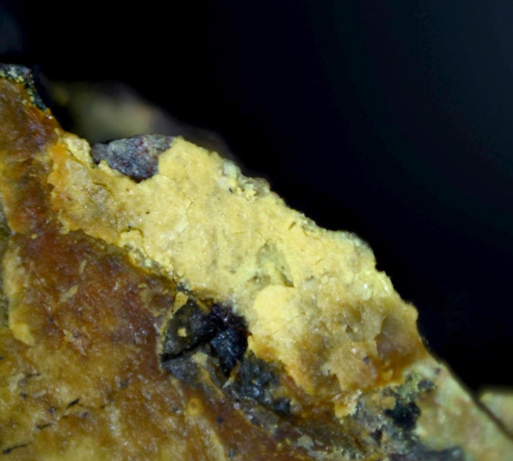 Vorlanite In Uraninite & Metazellerite