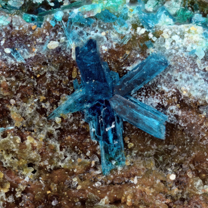 Langite