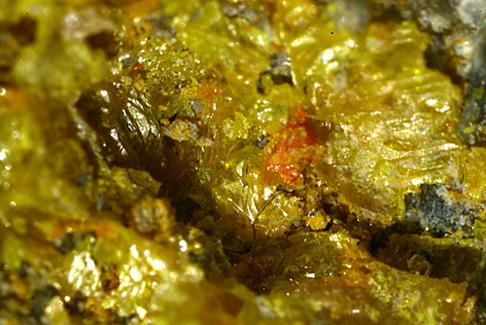 Uzonite