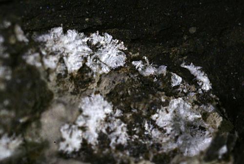 Kochsándorite