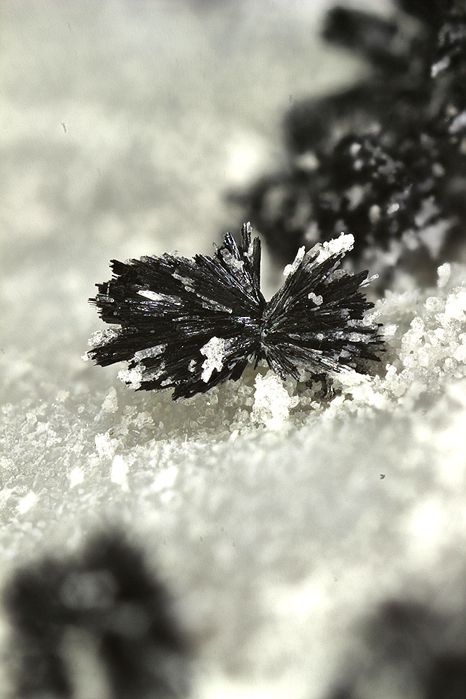 Ludwigite