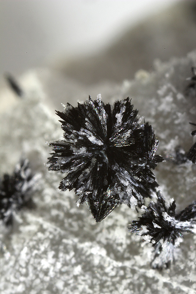 Ludwigite