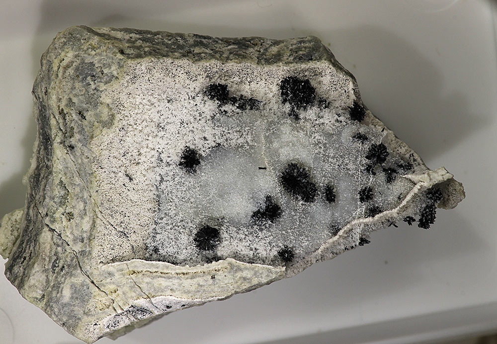 Ludwigite