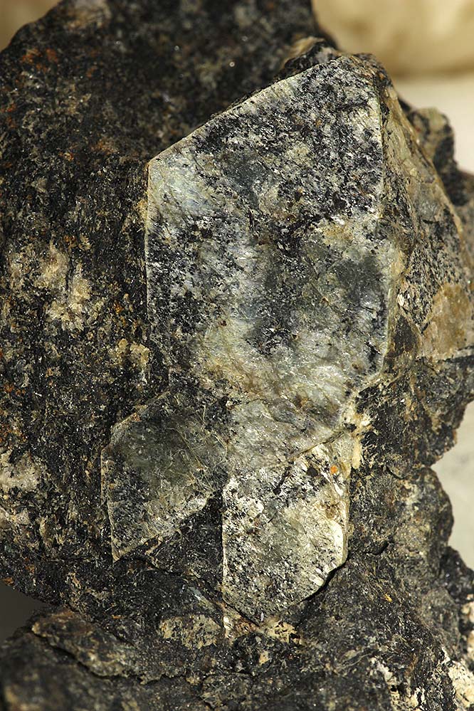 Naujakasite