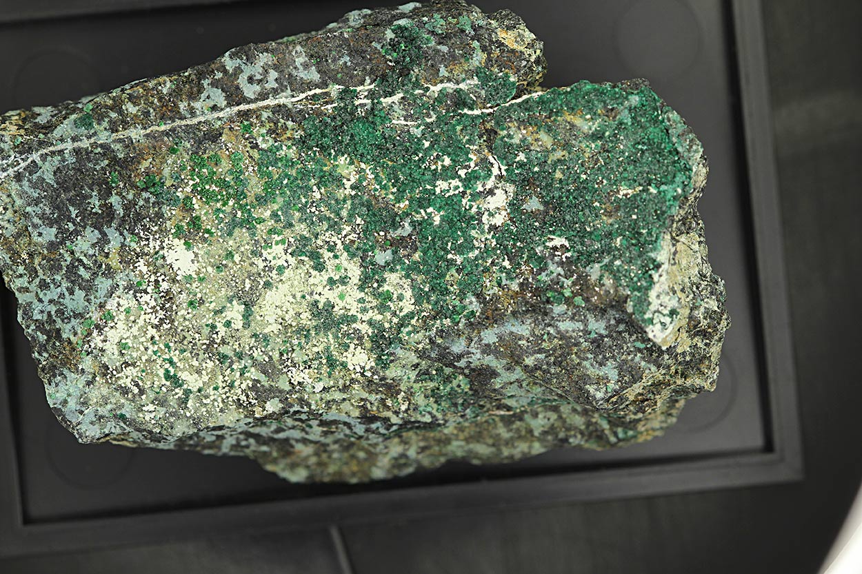 Paratacamite-(Ni)