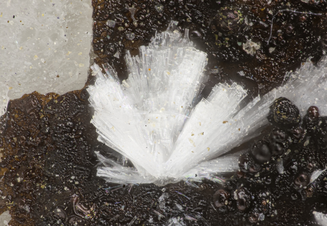Adamsite-(Y)