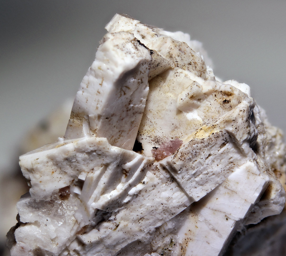 Calcioancylite-(Ce)