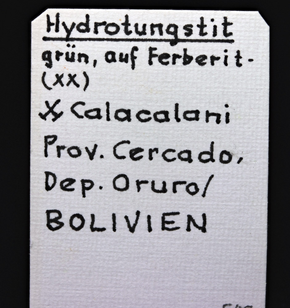 Hydrotungstite