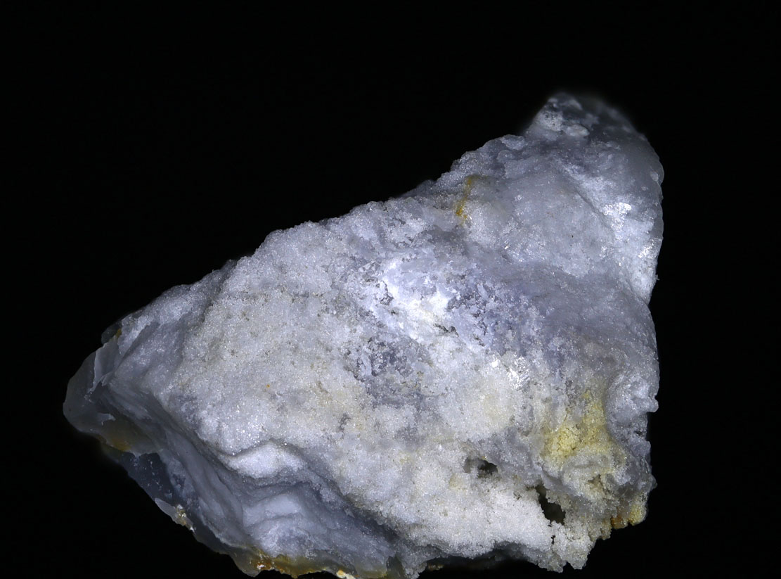 Prosopite