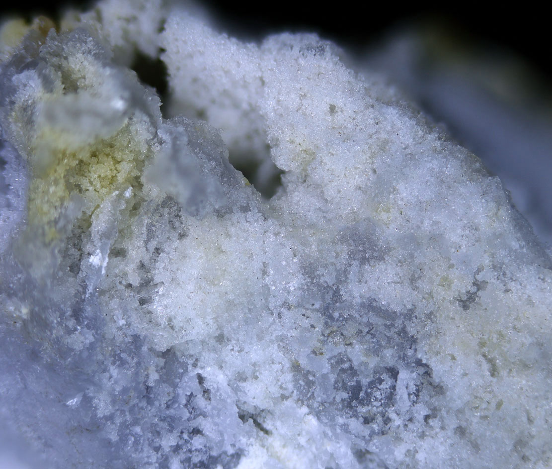 Prosopite