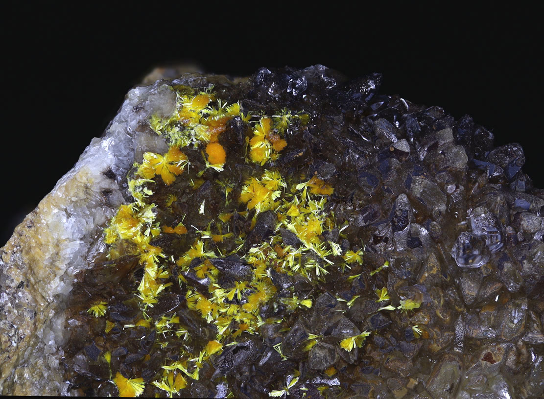 Boltwoodite