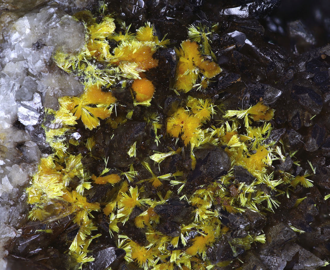 Boltwoodite